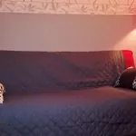 Сasa de vacaciones Proche Du Val Joly - 4911 - Willies