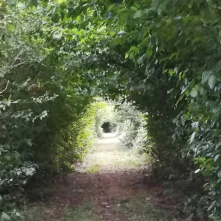 Proche Du Val Joly - 4911 - *