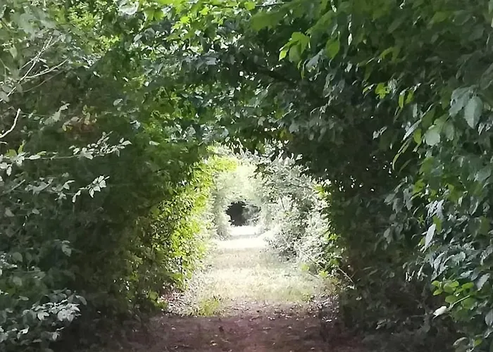 Proche Du Val Joly - 4911 - *